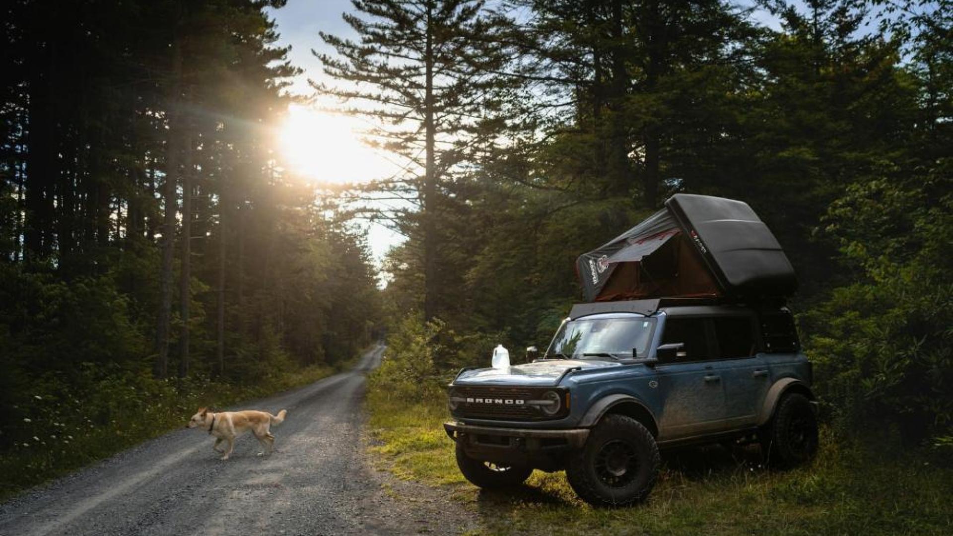 The Ultimate Guide to Buying a Used Boat
